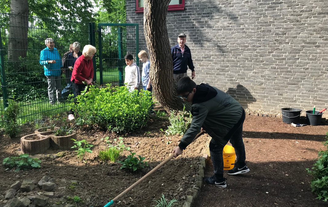 Gärtnern im Schulgarten in Kooperation mit dem „Netzwerk 55plus“ der Stadt Kerpen