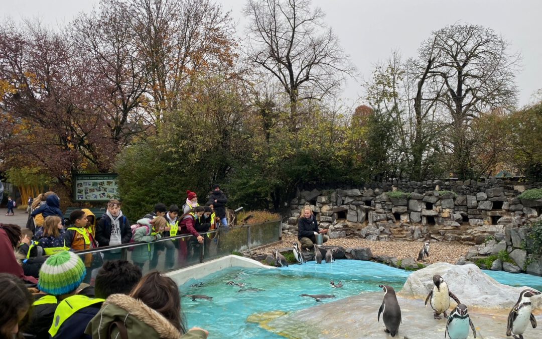 Ausflug in den Kölner Zoo